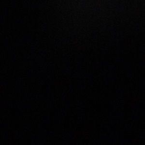 Meet your Posher, Harrison